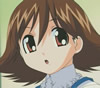 Midori : L’esprit du tanuki (raton-laveur)
