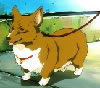 4-	Ein, chien super-intelligent