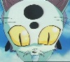 Kokutenko (Chat-tigre) animal sacr de Shen-Kun