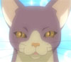 Neko-sensei : Le professeur aussi drôle qu’excentrique !