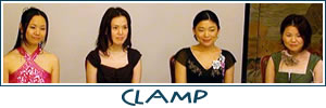 Article CLAMP